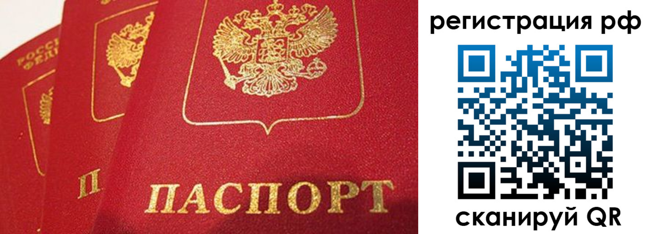 прописка поиск в Дубовке